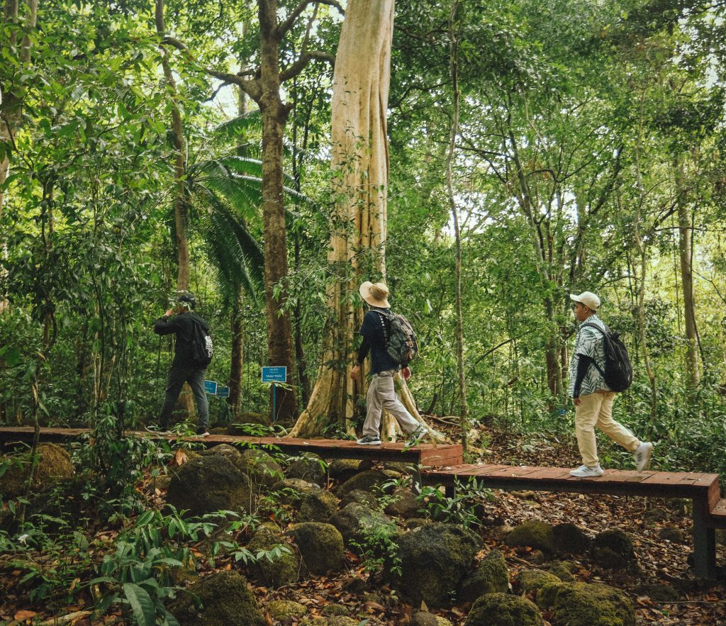 Verhoog je productiviteit met natuurwandelingen