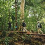 Verhoog je productiviteit met natuurwandelingen