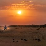 Unieke reisinspiratie: verder dan de standaard vakantie