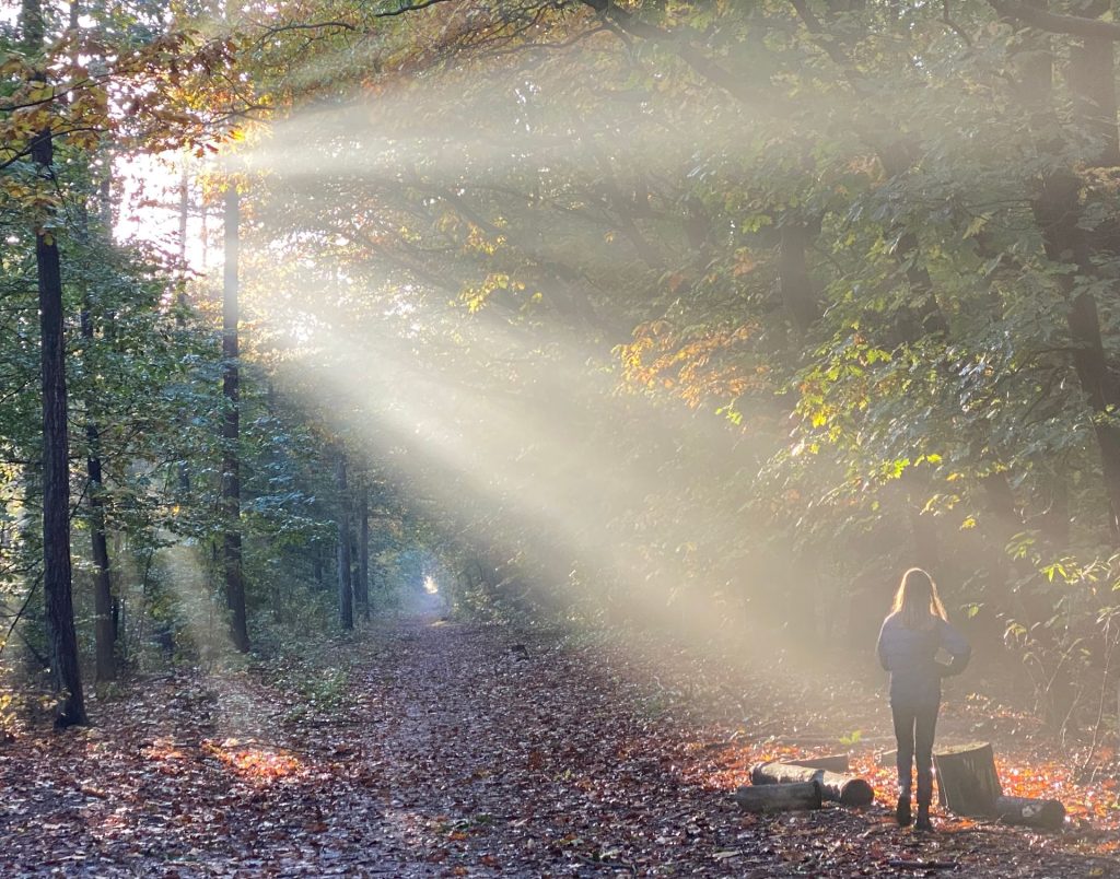 Vitamine D: waarom het essentieel is voor je gezondheid