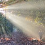 Vitamine D: waarom het essentieel is voor je gezondheid